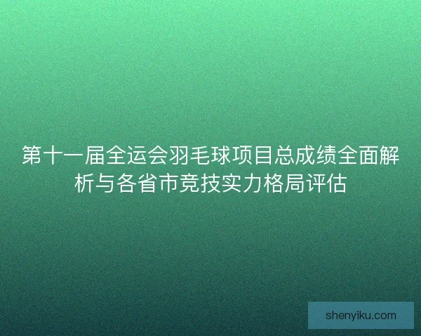 第十一届全运会羽毛球项目总成绩全面解析与各省市竞技实力格局评估